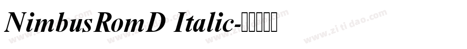NimbusRomD Italic字体转换